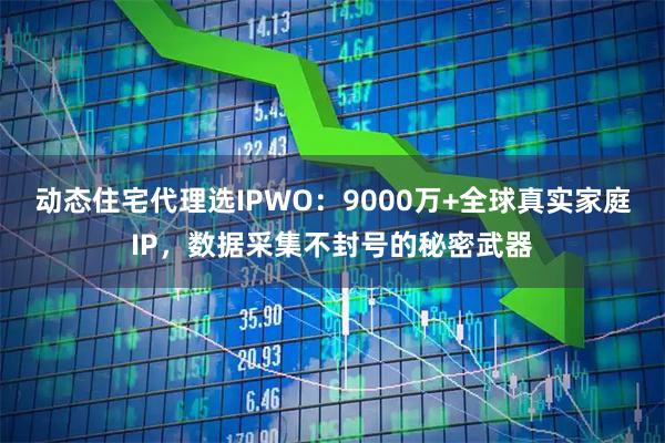 动态住宅代理选IPWO：9000万+全球真实家庭IP，数据采集不封号的秘密武器
